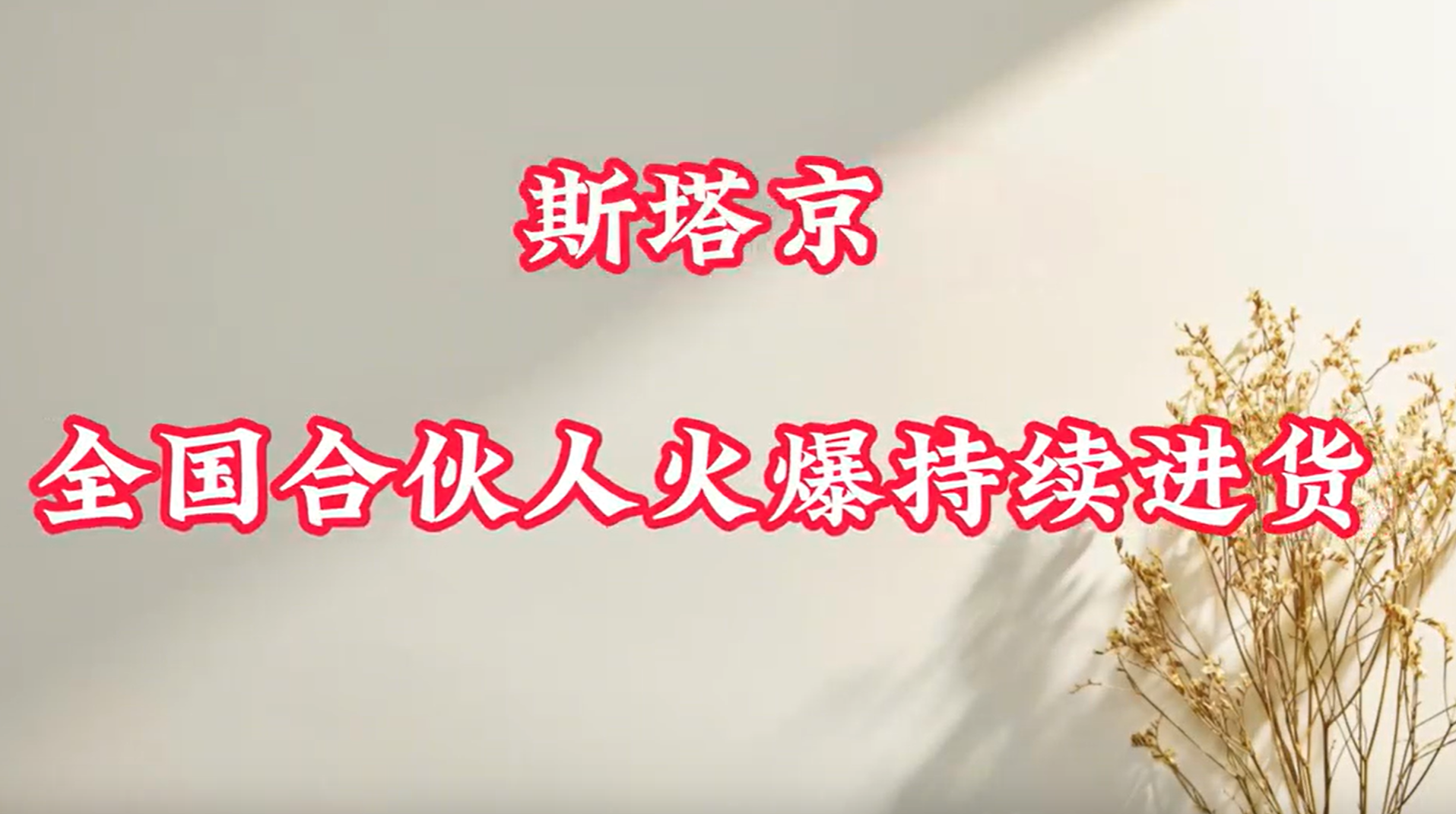 斯塔京全国火爆持续进货单